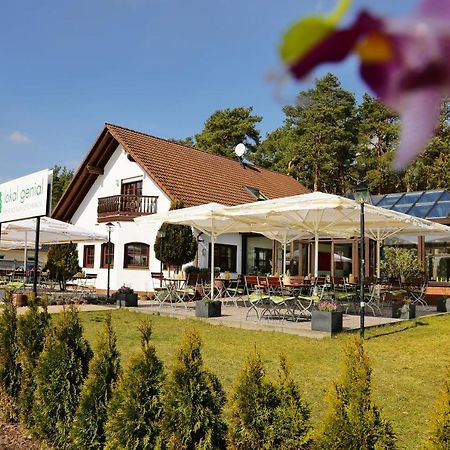 Lokal Genial Pension & Restaurant Beelitz Esterno foto
