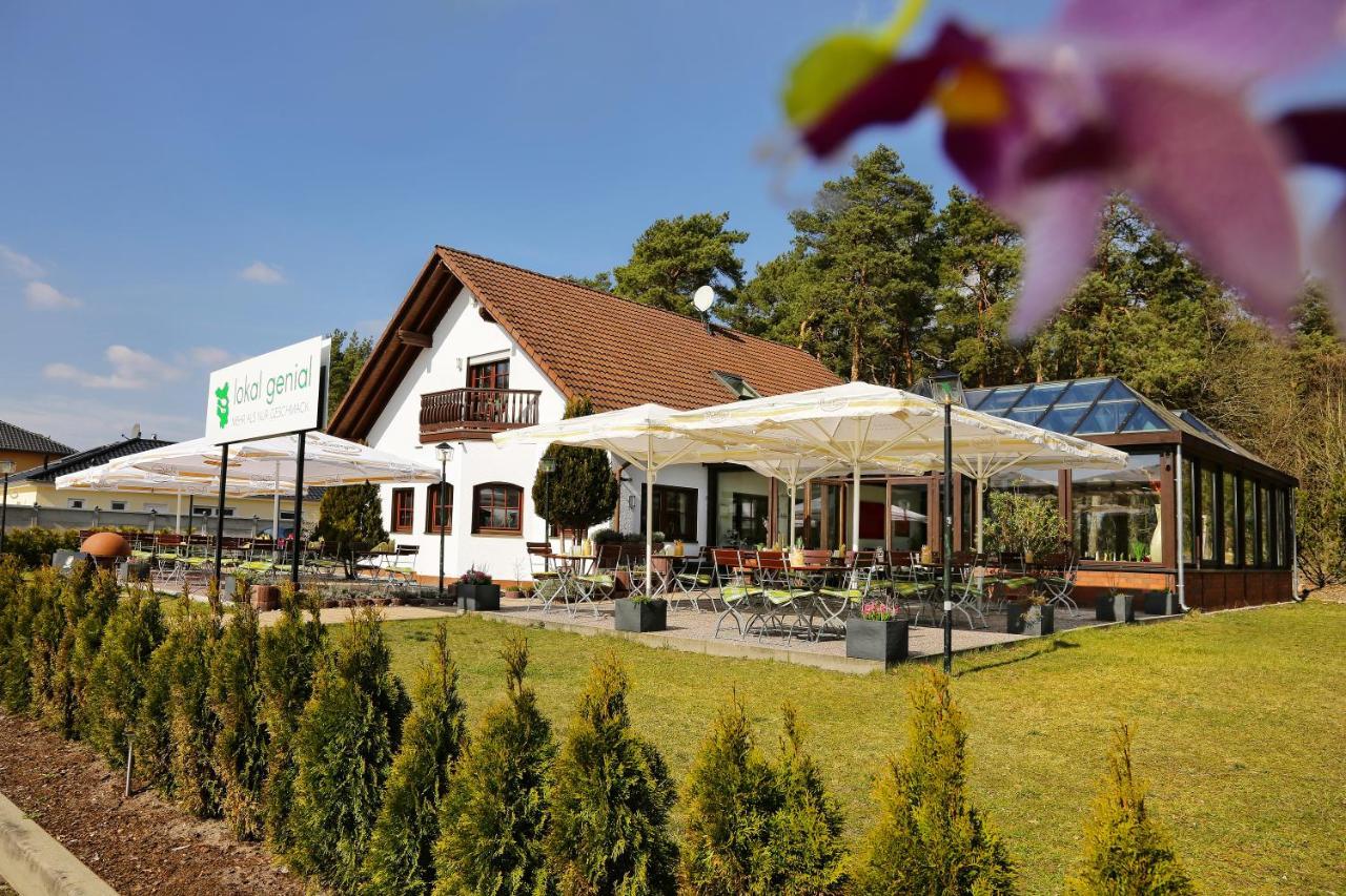 Lokal Genial Pension & Restaurant Beelitz Esterno foto